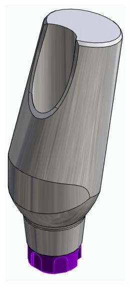 BIONIKA C1, Universal abutment, angled, positioned, type-A