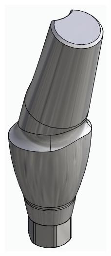 BIONIKA CORTICON, Anatomic abutment, angled, 15°, positioned, type-A