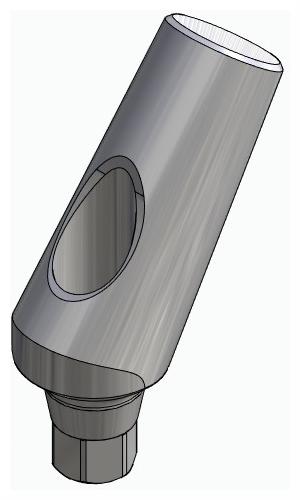 BIONIKA CORTICON, Universal abutment, angled, positioned, type-A