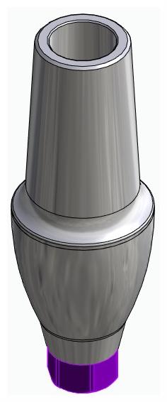 BIONIKA ACTIVAL, Anatomic abutment, straight, positioned