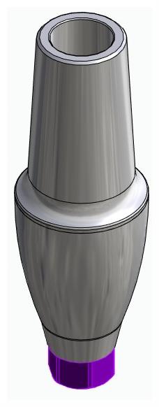 BIONIKA ACTIVAL, Anatomic abutment, straight, positioned