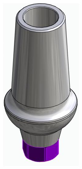 BIONIKA ACTIVAL, Anatomic abutment, straight, positioned