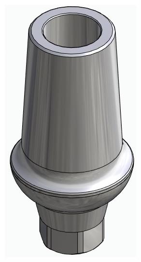 BIONIKA ACTIVAL, Anatomic abutment, straight, positioned