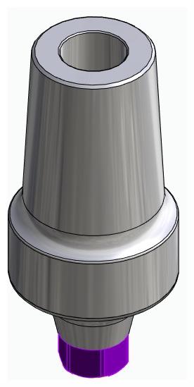 BIONIKA ACTIVAL, Anatomic abutment, straight, wide, positioned