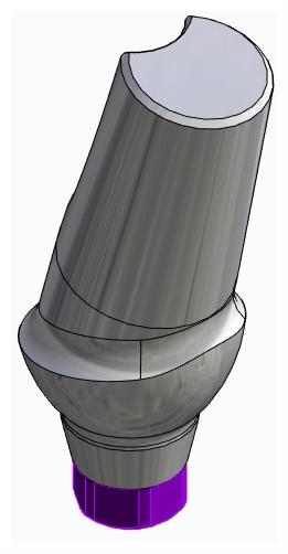 BIONIKA ACTIVAL, Anatomic abutment, angled, 15°, positioned, type-A