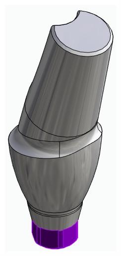 BIONIKA ACTIVAL, Anatomic abutment, angled, 15°, positioned, type-A