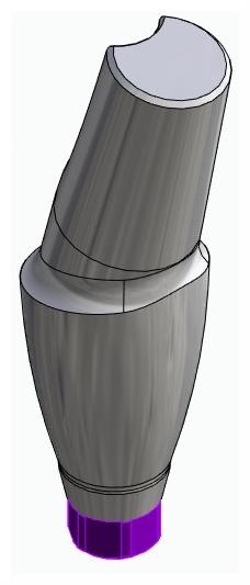 BIONIKA ACTIVAL, Anatomic abutment, angled, 15°, positioned, type-A