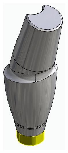 BIONIKA ACTIVAL, Anatomic abutment, angled, 15°, positioned, type-A