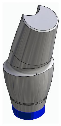 BIONIKA ACTIVAL, Anatomic abutment, angled, 15°, positioned, type-A