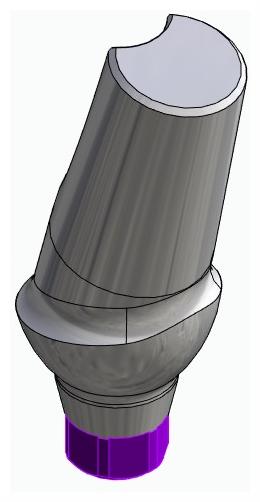 BIONIKA ACTIVAL, Anatomic abutment, angled, 15°, positioned, type-B