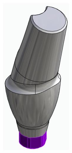 BIONIKA ACTIVAL, Anatomic abutment, angled, 15°, positioned, type-B
