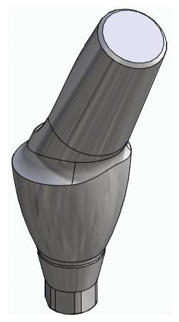 BIONIKA ACTIVAL, Anatomic abutment, angled, 25°, positioned, type-A