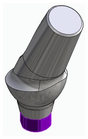 BIONIKA ACTIVAL, Anatomic abutment, angled, 25°, positioned, type-A