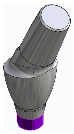 BIONIKA ACTIVAL, Anatomic abutment, angled, 25°, positioned, type-A