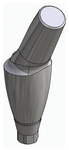 BIONIKA ACTIVAL, Anatomic abutment, angled, 25°, positioned, type-B