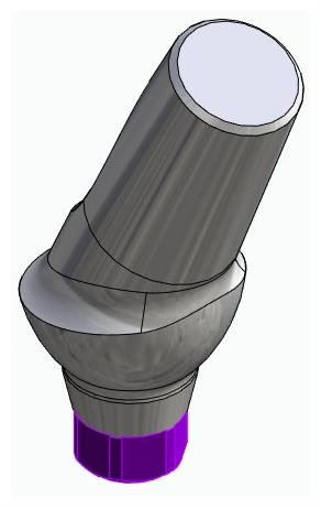 BIONIKA ACTIVAL, Anatomic abutment, angled, 25°, positioned, type-B