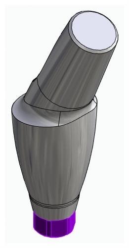 BIONIKA ACTIVAL, Anatomic abutment, angled, 25°, positioned, type-B