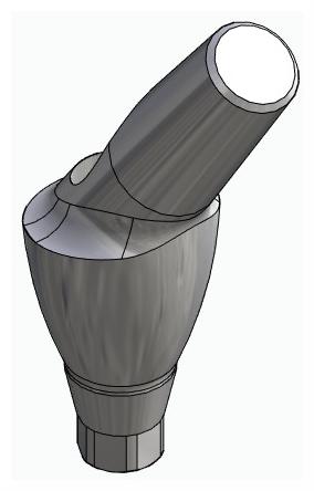 BIONIKA ACTIVAL, Anatomic abutment, angled, 35°, positioned, type-A