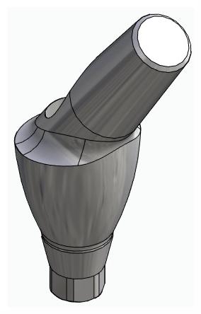 BIONIKA ACTIVAL, Anatomic abutment, angled, 35°, positioned, type-B