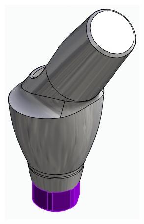 BIONIKA ACTIVAL, Anatomic abutment, angled, 35°, positioned, type-B