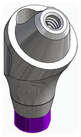BIONIKA ACTIVAL, Multi-unit abutment, angled, positioned, wide, LT2, type-B