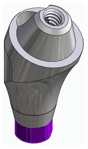BIONIKA ACTIVAL, Multi-unit abutment, angled, positioned, wide, LT2, type-B
