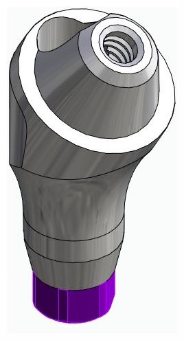 BIONIKA ACTIVAL, Multi-unit abutment, angled, positioned, wide, LT2, type-B