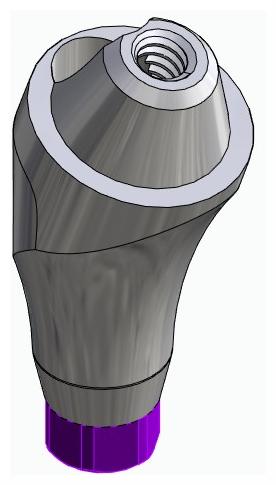 BIONIKA ACTIVAL, Multi-unit abutment, angled, positioned, wide, LT2, type-B