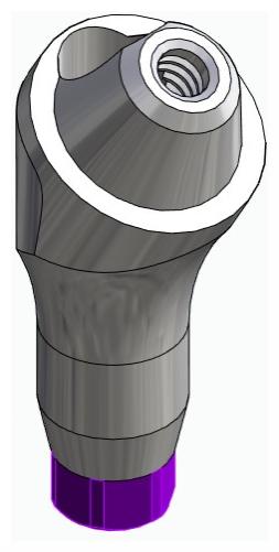 BIONIKA ACTIVAL, Multi-unit abutment, angled, positioned, wide, LT2, type-B