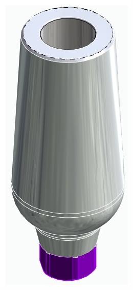 BIONIKA ACTIVAL, Universal abutment, straight, positioned