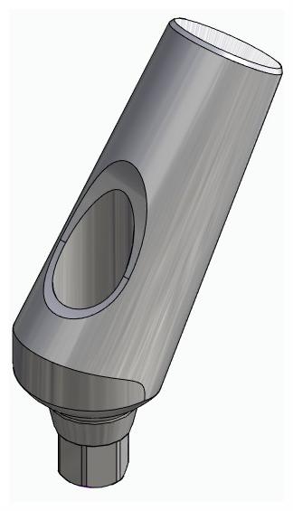 BIONIKA ACTIVAL, Universal abutment, angled, positioned, type-A