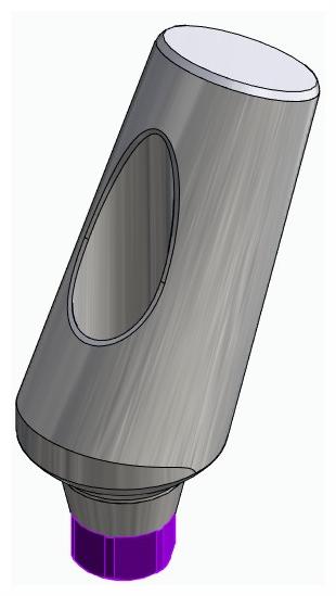 BIONIKA ACTIVAL, Universal abutment, angled, positioned, type-A