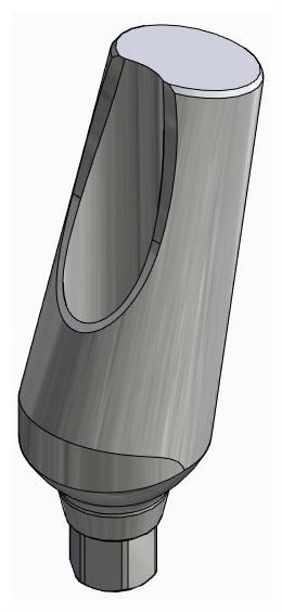 BIONIKA ACTIVAL, Universal abutment, angled, positioned, type-B