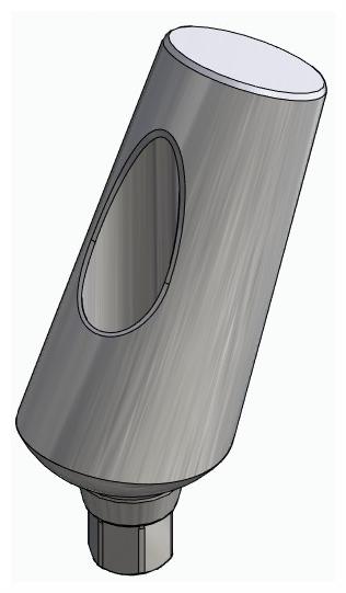 BIONIKA ACTIVAL, Universal abutment, angled, positioned, type-B