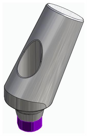 BIONIKA ACTIVAL, Universal abutment, angled, positioned, type-B