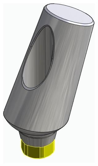 BIONIKA ACTIVAL, Universal abutment, angled, positioned, type-B