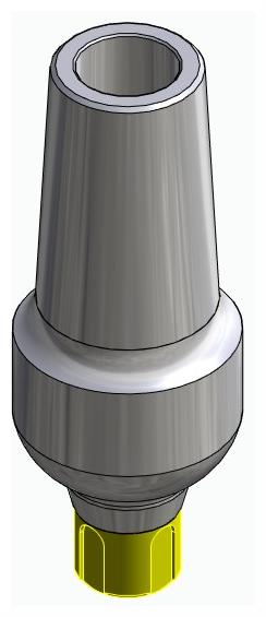 BIONIKA BONELIT, Anatomic abutment, straight, positioned