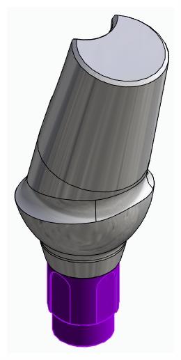 BIONIKA BONELIT, Anatomic abutment, angled, 15°, positioned, type-A