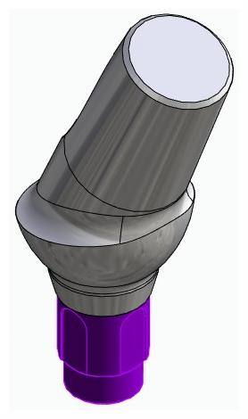 BIONIKA BONELIT, Anatomic abutment, angled, 25°, positioned, type-A