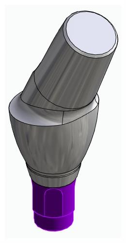 BIONIKA BONELIT, Anatomic abutment, angled, 25°, positioned, type-B