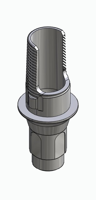 BIONIKA BONELIT, Flexi base, implant level, positioned, type-A