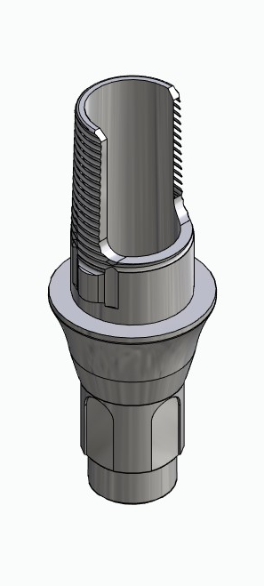 BIONIKA BONELIT, Flexi base, implant level, positioned, type-A
