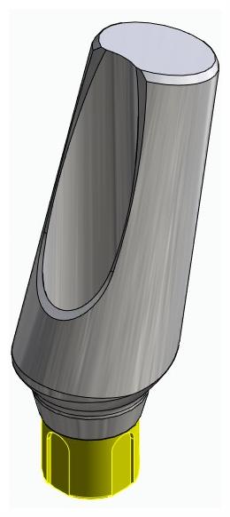 BIONIKA BONELIT, Narrow abutment, angled, positioned, type-A