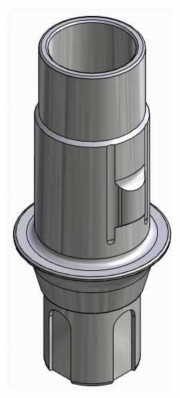BIONIKA BONELIT, Titanium base, positioned