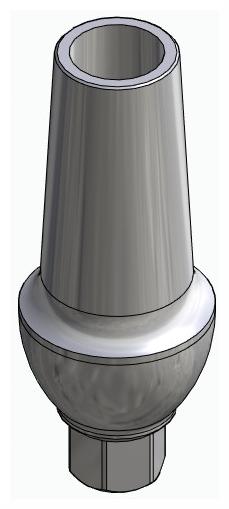 BIONIKA LG, Anatomic abutment, straight, positioned