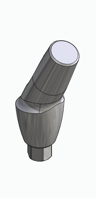 BIONIKA LG, Anatomic abutment, angled, 25°, positioned, type-A