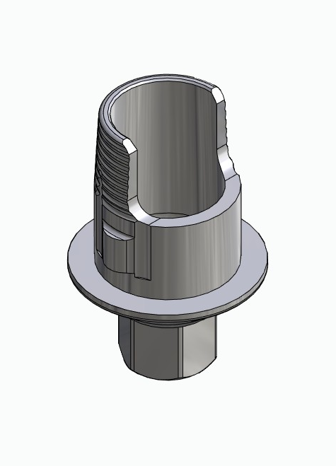 BIONIKA LG, Flexi base, implant level, positioned, type-A