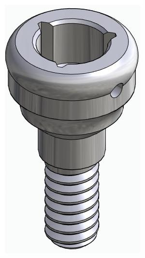 BIONIKA LG, Locator abutment, straight