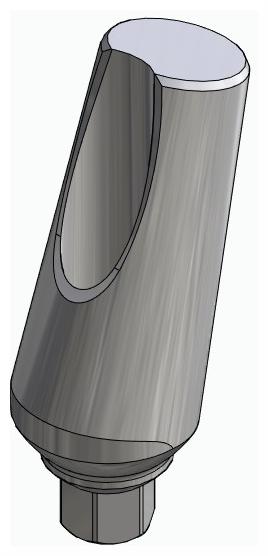 BIONIKA LG, Universal abutment, angled, positioned, type-A