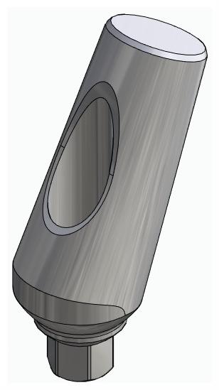 BIONIKA LG, Universal abutment, angled, positioned, type-B